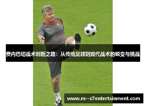 费内巴切战术创新之路：从传统足球到现代战术的蜕变与挑战