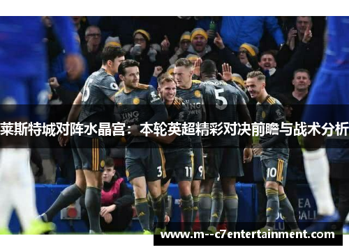 莱斯特城对阵水晶宫：本轮英超精彩对决前瞻与战术分析