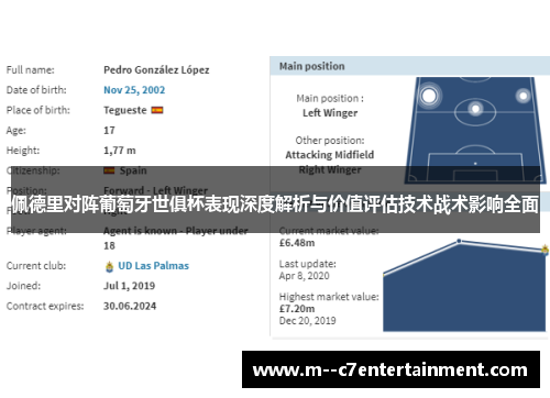 佩德里对阵葡萄牙世俱杯表现深度解析与价值评估技术战术影响全面