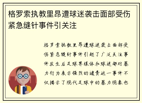 格罗索执教里昂遭球迷袭击面部受伤紧急缝针事件引关注